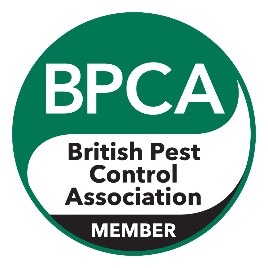 footer image of BPCA logo