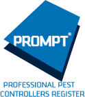 Prompt Logo